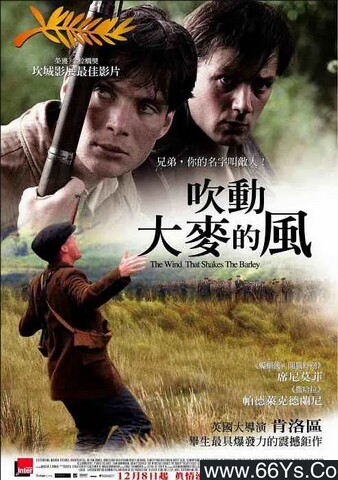 2006年爱尔兰8.1分战争片《风吹麦浪》