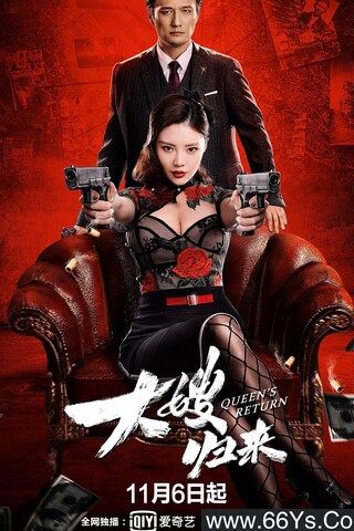 2021年徐冬冬,尹子维动作剧情片《大嫂归来》4K高清国粤双语