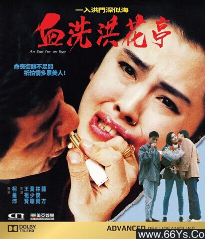 1990年黄锦燊,林富伟6.1分经典动作《血洗红花亭》1080P国粤双语