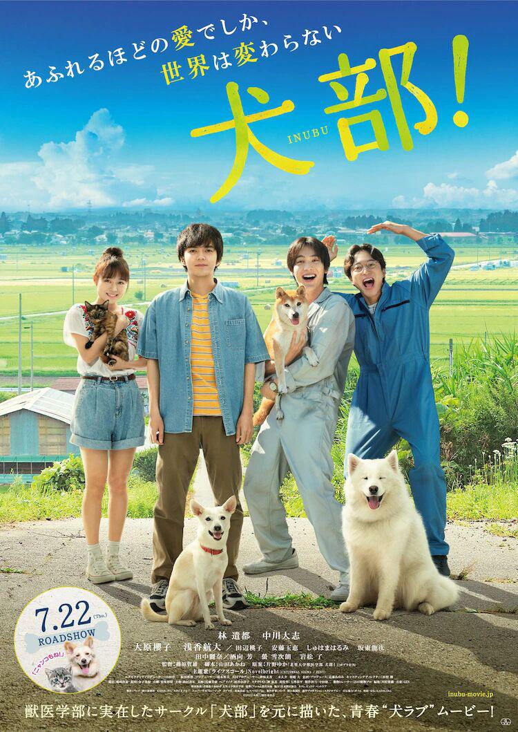 2021年日本6.6分剧情片《犬部！/浪浪好朋友》1080P日语中字