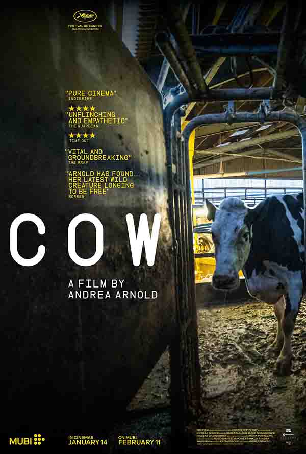 2021年英国7.8分纪录片《奶牛》1080P英语