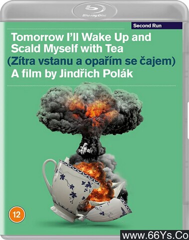 1977年捷克7.5分喜剧《明天我会醒来用茶水烫伤自己》1080P捷克语中字