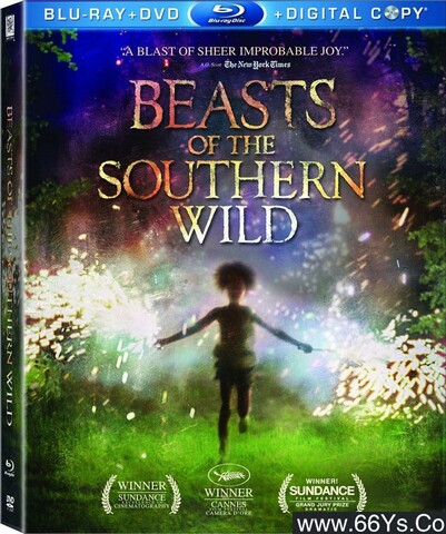 2012年美国7.6分剧情片《南国野兽》1080P英语中英双字