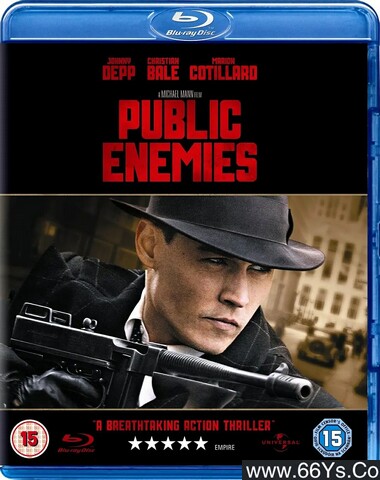 2009年美国7.4分传记剧情片《公众之敌》1080P国英双语