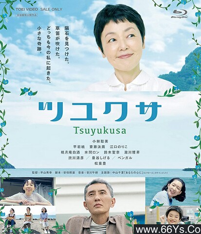 2022年日本7.8分爱情剧情片《露草》1080P日语中字