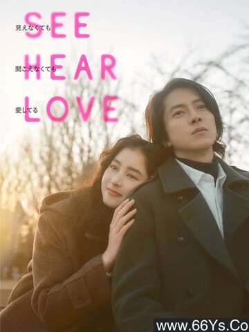 2023年日本爱情剧情片《看不见听不见也爱你》1080P日语中字
