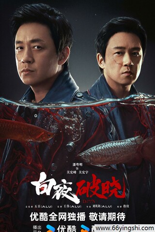 2024年潘粤明,王龙正电视剧《白夜破晓》全29集