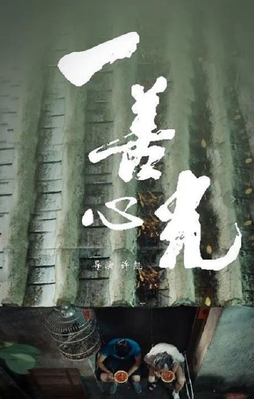 2018年陈强华,杜飞剧情片《一善心光》1080P国语中字