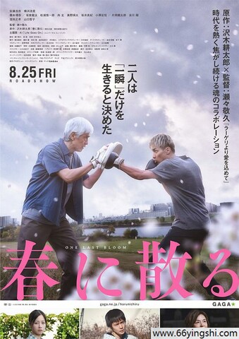 2023年日本6.1分剧情片《凋零在春天》1080P中字