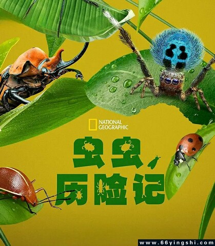 2024年美国纪录片《虫虫历险记2》全5集