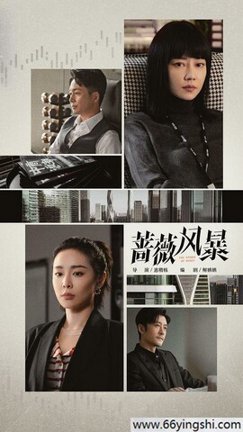 2024年谭卓,高叶电视剧《蔷薇风暴》全集