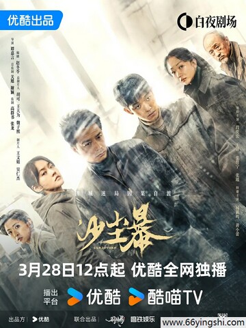 2025年段奕宏,王锵《沙尘暴》全12集
