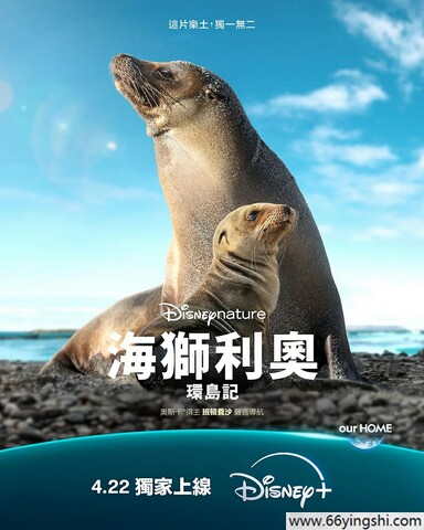 2025年美国纪录片《海狮利奥环岛记》1080P中英双字