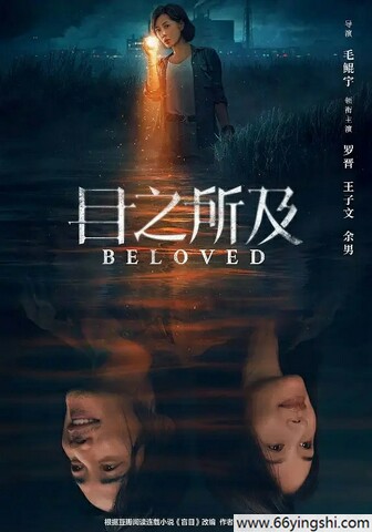 2025年罗晋,王子文电视剧《目之所及》全16集