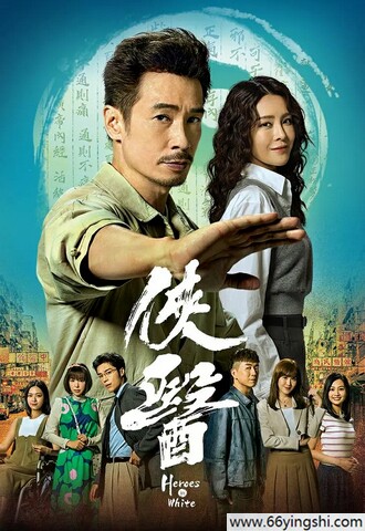 2025年陈豪,张曦雯电视剧《侠医》全集